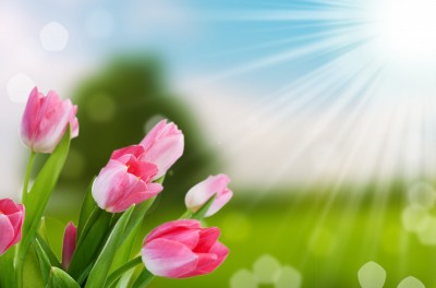 Does Light Wake You Up
