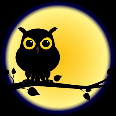 Night Owl